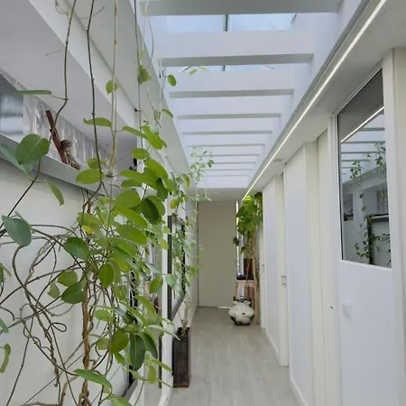 Semesterbostad Padel Casa E Estudio-vitorino De Piaes