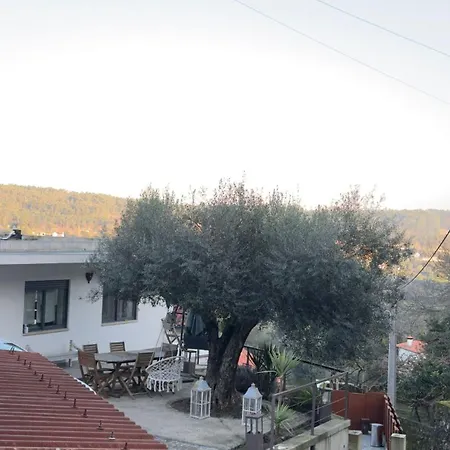 Padel Casa E Estudio-vitorino De Piaes