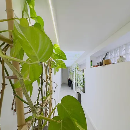 Padel Casa E Estudio-vitorino De Piaes * Vitorino dos Piães