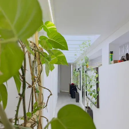 Padel Casa E Estudio-vitorino De Piaes Semesterbostad Vitorino dos Piães