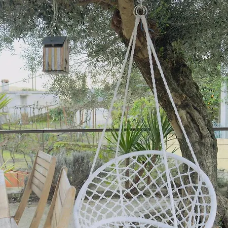 Semesterbostad Padel Casa E Estudio-vitorino De Piaes