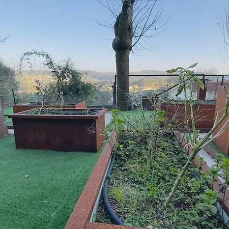 Padel Casa E Estudio-vitorino De Piaes Semesterbostad *