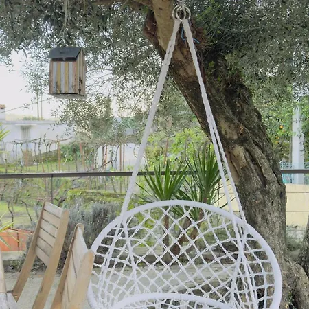 Padel Casa E Estudio-vitorino De Piaes Holiday home