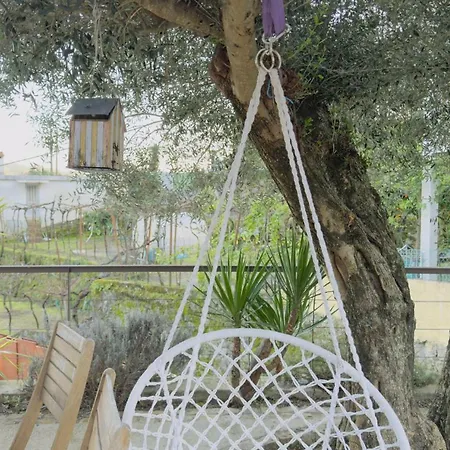 Padel Casa E Estúdio-vitorino De Piães *