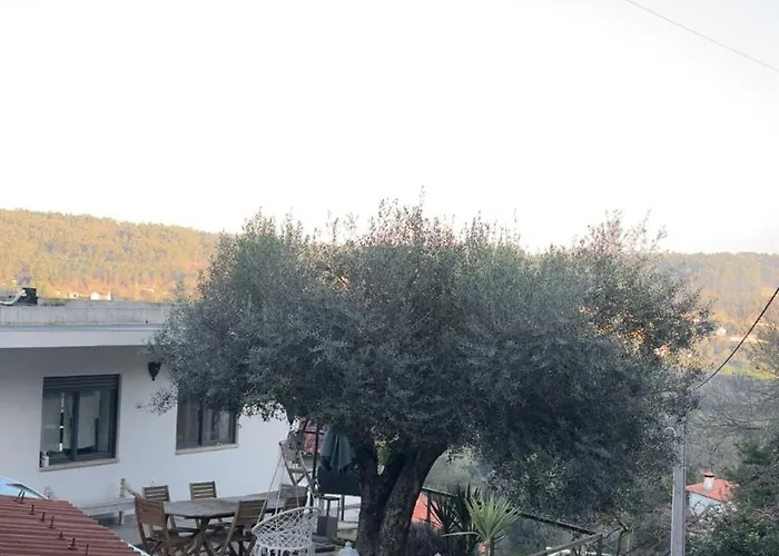 Padel Casa E Estudio-vitorino De Piaes