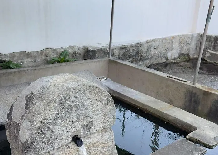 Padel Casa E Estudio-vitorino De Piaes