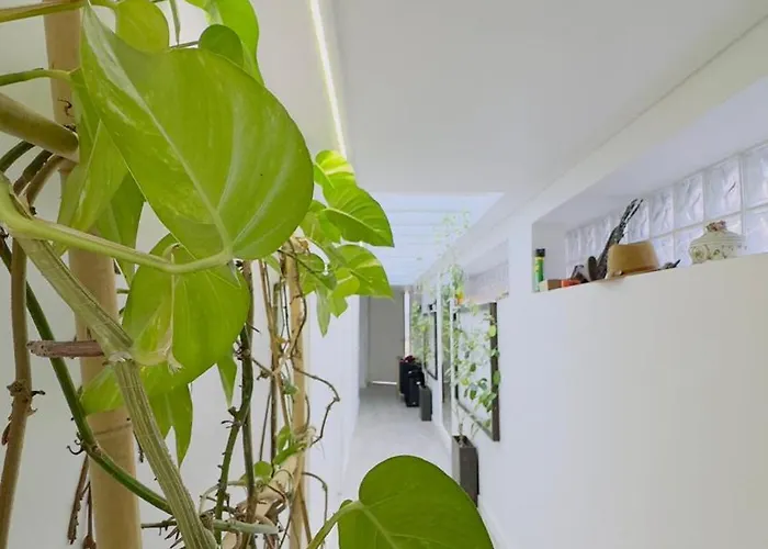 Padel Casa E Estudio-vitorino De Piaes * Vitorino dos Piães