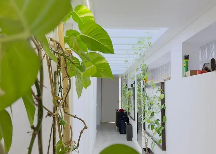 Padel Casa E Estudio-vitorino De Piaes Semesterbostad Vitorino dos Piães