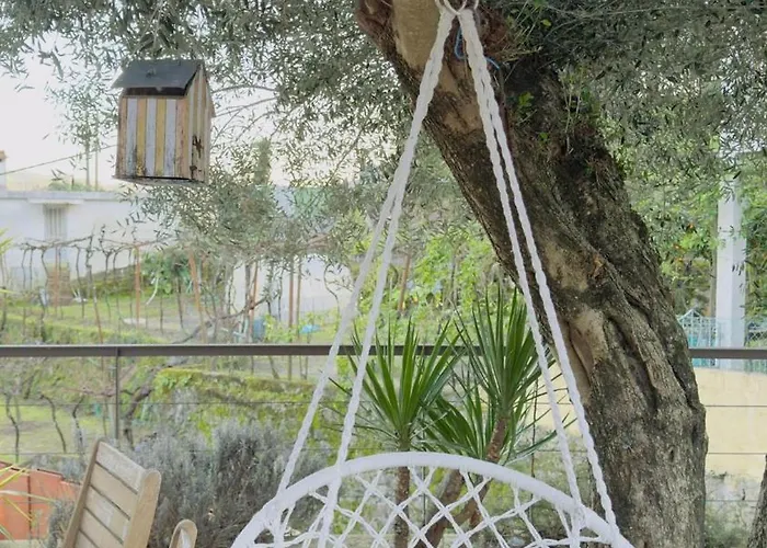 Padel Casa E Estudio-vitorino De Piaes *